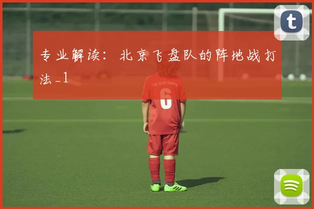 专业解读：北京飞盘队的阵地战打法_1