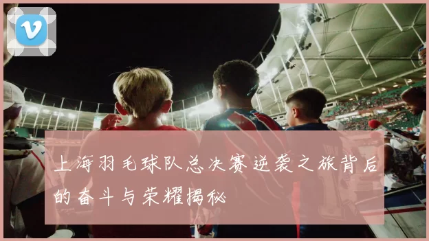 上海羽毛球队总决赛逆袭之旅背后的奋斗与荣耀揭秘