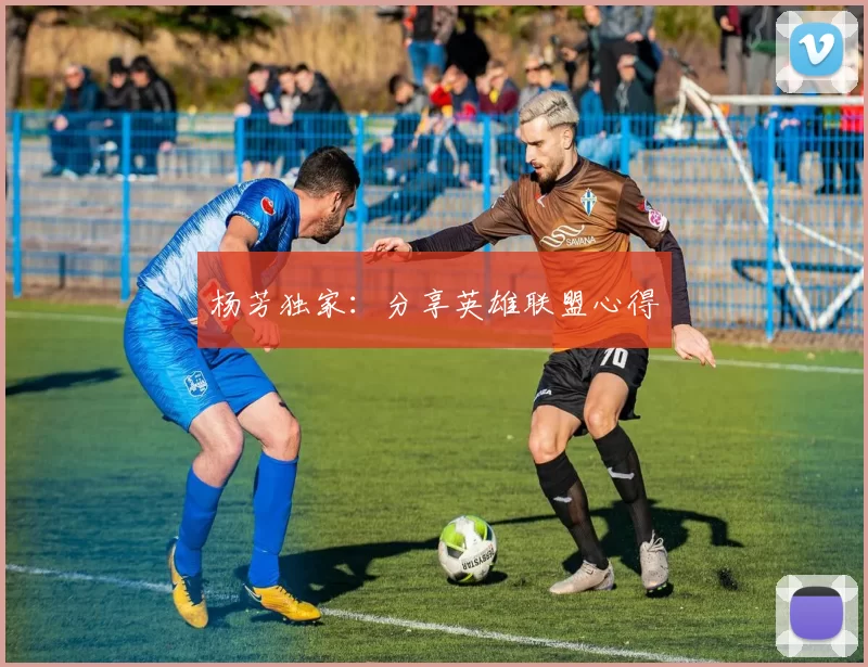 杨芳独家：分享英雄联盟心得