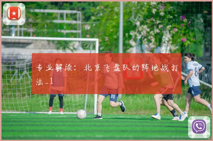 专业解读：北京飞盘队的阵地战打法_1